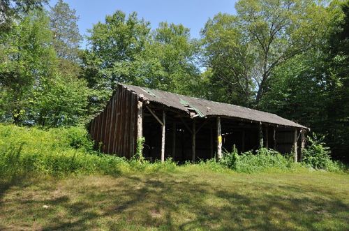 An old, weathered barn with a partially collapsed roof, surrounded by lush greenery and trees under a clear blue sky.