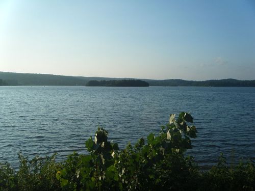 A serene lake view with gentle waves, surrounded by green foliage and distant hills under a clear blue sky.