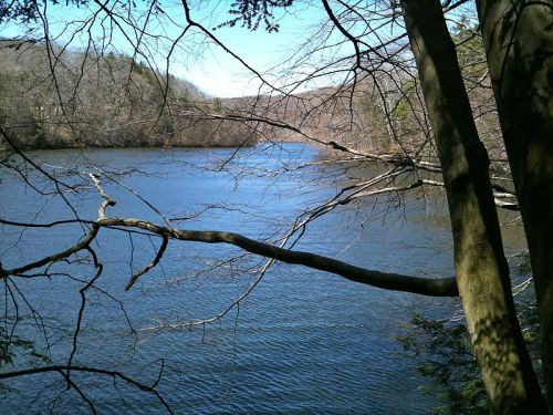 A serene river scene framed by bare trees, with calm water reflecting the blue sky and distant hills.