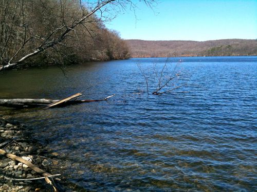 A serene lake surrounded by trees and hills, with clear blue water and a few fallen branches along the shore.