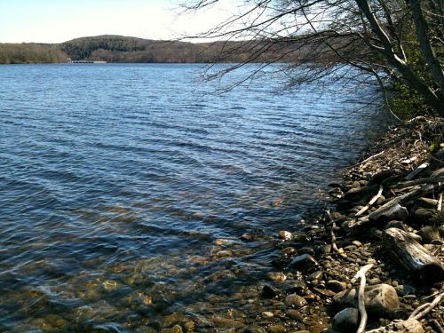 A serene lakeside view with clear water, rocky shore, and trees lining the bank under a bright sky.