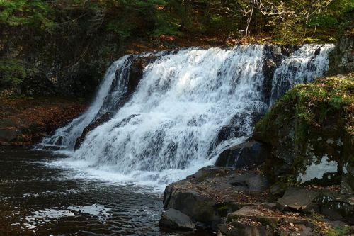 A serene waterfall cascading over rocks into a calm pool, surrounded by lush greenery and autumn leaves.