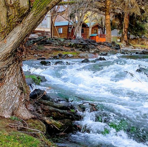A rushing river flows past a tree, with cozy cabins visible in the background among trees and rocks.