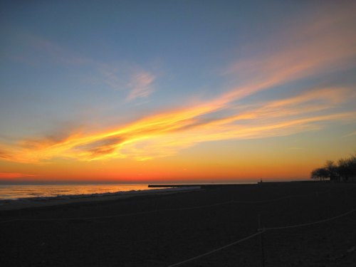 A serene beach at sunset, with vibrant orange and blue skies reflecting over calm waters. Silhouettes of trees in the distance.