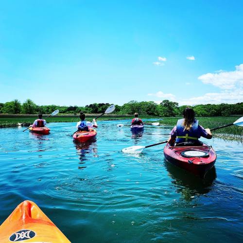 A group of four people kayaking on a calm lake under a clear blue sky. Lush greenery is visible in the background.
