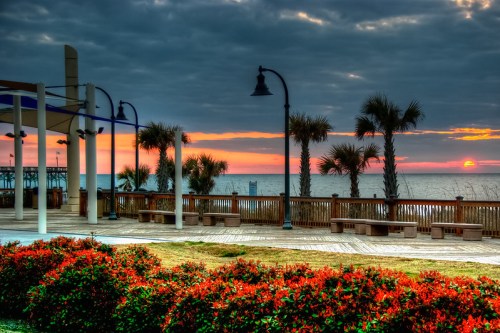 Sunset over the ocean with palm trees and vibrant flowers in the foreground, creating a serene coastal scene.