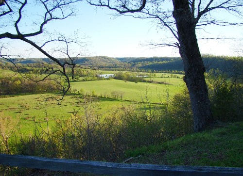 A scenic view of rolling green hills, a river, and trees under a clear blue sky.