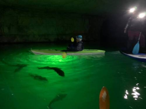 A person kayaking in a dark cave with green-lit water, surrounded by shadows of fish and other kayakers.