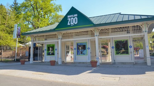 Entrance to the Maryland Zoo, featuring a green roof and colorful animal-themed displays in the windows.