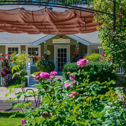 A charming garden store surrounded by colorful flowers and greenery, with a shaded entrance and inviting atmosphere.