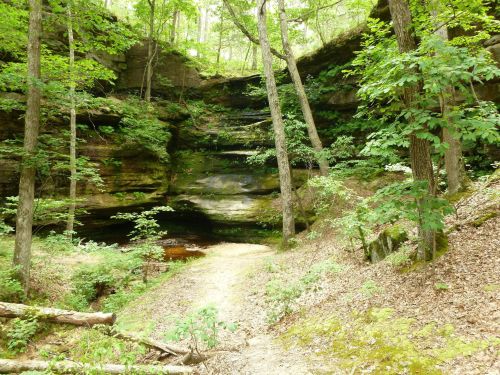 A serene forest scene with tall trees, rocky cliffs, and a winding path leading to a small, tranquil area.