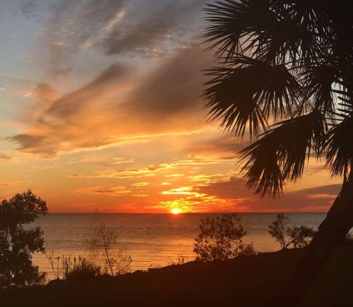 A vibrant sunset over the ocean, with palm trees silhouetted against the colorful sky.