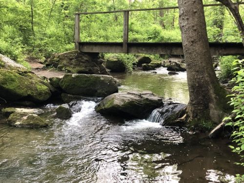 A serene stream flows under a wooden bridge, surrounded by lush greenery and moss-covered rocks.