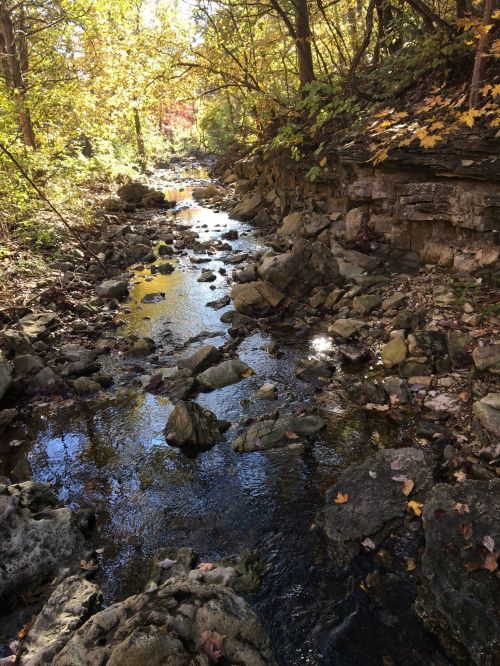 A serene stream flows through a rocky landscape, surrounded by vibrant autumn foliage and sunlight filtering through trees.