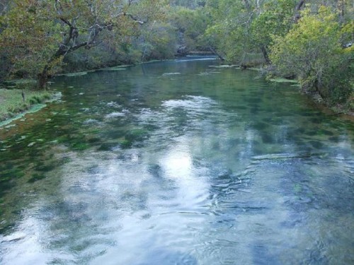 A serene river flows through a lush, green landscape with trees lining the banks and reflections on the water's surface.