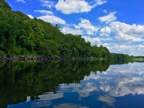 A serene river scene with lush green trees and a blue sky reflected in calm water, dotted with fluffy white clouds.