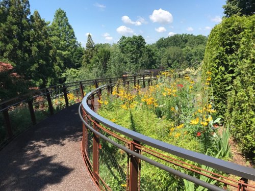 A winding pathway surrounded by vibrant flowers and lush greenery under a blue sky with fluffy clouds.