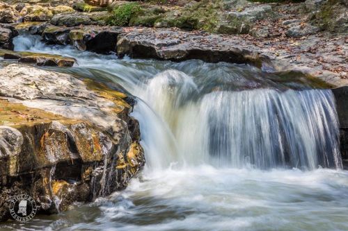 A serene waterfall cascading over smooth rocks, surrounded by lush greenery and fallen leaves.