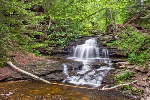 A serene waterfall cascades over rocks, surrounded by lush green trees and foliage in a tranquil forest setting.