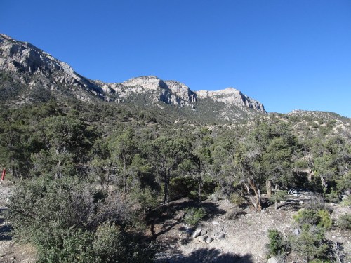 A scenic view of rugged mountains under a clear blue sky, surrounded by green trees and rocky terrain.