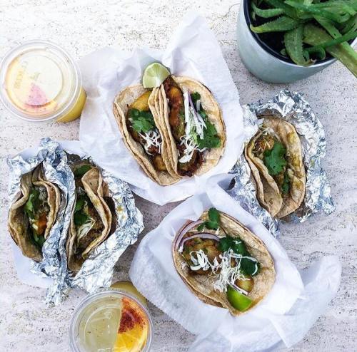 Four tacos in paper wrappers, topped with cilantro and onions, alongside drinks and a potted aloe plant.