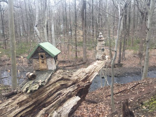 A wooden birdhouse and a small lighthouse sit atop a fallen log in a forested area near a stream.