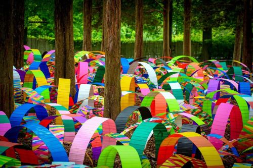 A vibrant installation of colorful, curved structures among tall trees in a lush green setting.
