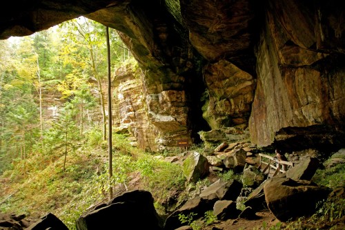 A rocky cave entrance surrounded by lush greenery and trees, with a wooden bench visible inside.
