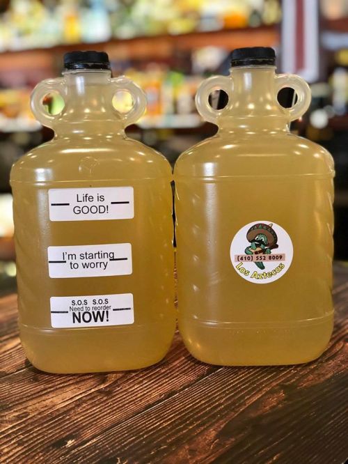 Two jugs filled with a yellow liquid, featuring playful labels about life and urgency.