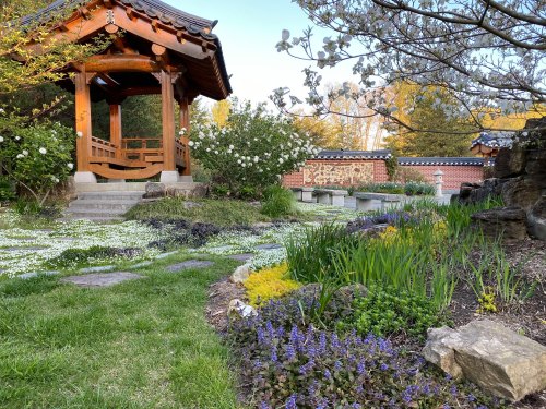 A serene garden scene featuring a wooden gazebo surrounded by colorful flowers and lush greenery.