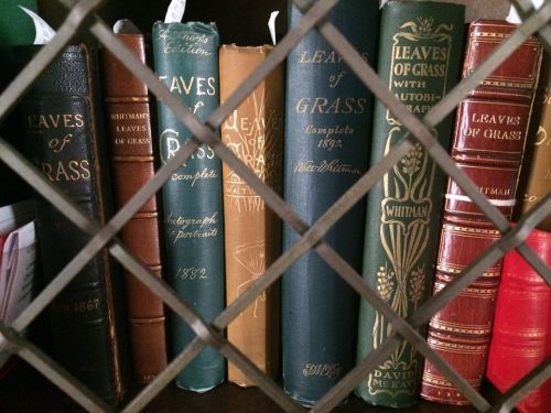 A collection of vintage books titled "Leaves of Grass" displayed behind a metal grate.