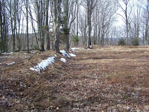 A forest scene with bare trees, patches of snow, and brown foliage on the ground, indicating early spring.