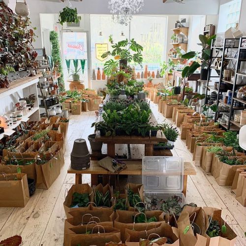 A cozy plant shop filled with potted plants and brown paper bags, creating a vibrant, green atmosphere.