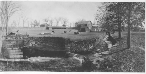 Black and white image of a farm with cows, a stone wall, and a stream, surrounded by trees and buildings.