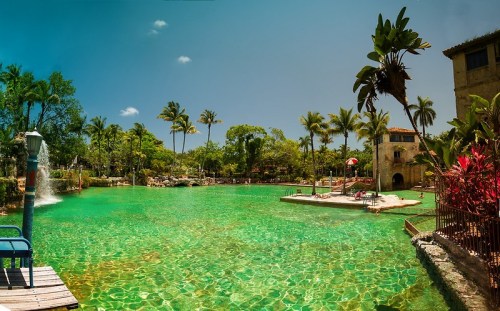 A vibrant pool surrounded by palm trees and lush greenery, with people relaxing and enjoying the sunny day.