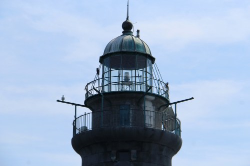 A close-up of a lighthouse's lantern room with a green dome and a seagull perched on the railing.