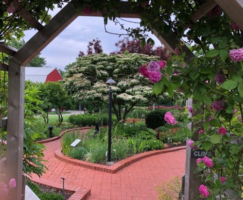A garden path framed by flowers, leading to a lush green area with trees and a red barn in the background.