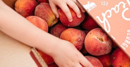 A child's hands reaching into a box filled with fresh, ripe peaches.