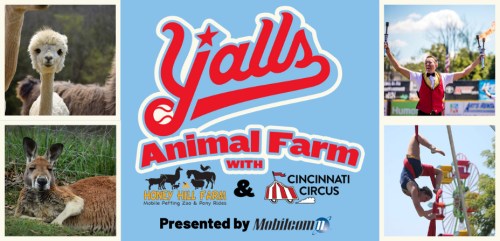 A collage featuring animals, circus performers, and event details for Y'all's Animal Farm with Honey Hill Farm and Cincinnati Circus.