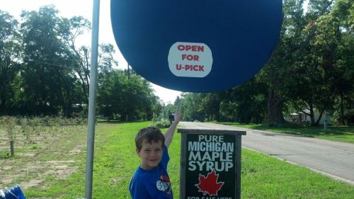 A child points to a sign that says "Open for U-Pick" near a maple syrup stand in a rural area.