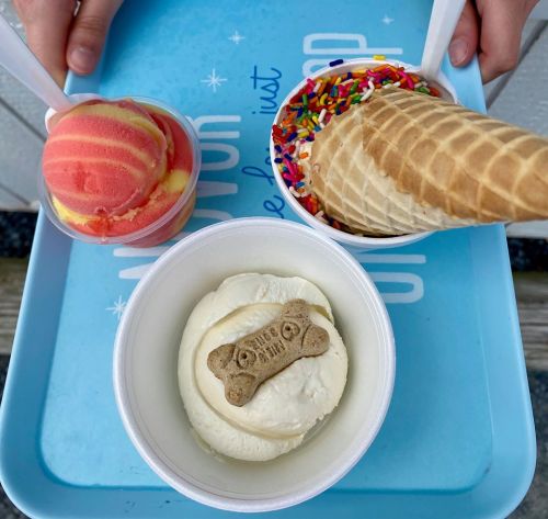 A tray with three ice cream servings: a cup of vanilla with a dog treat, a cup of rainbow sherbet, and a cone with sprinkles.