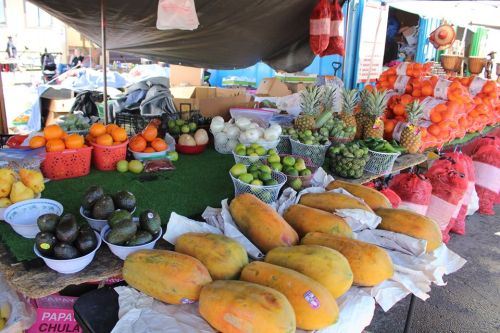 A vibrant market display featuring various fruits, including papayas, avocados, oranges, and pineapples on a table.