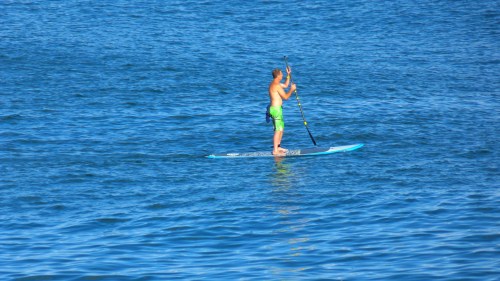 A person stands on a paddleboard, paddling across a calm blue ocean.