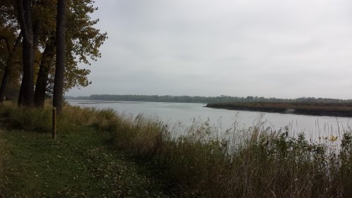 A serene river scene with tall grasses and trees along the bank under a cloudy sky.