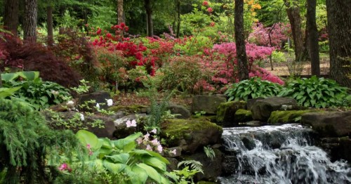 A serene garden scene featuring vibrant flowers, lush greenery, and a small waterfall surrounded by rocks.