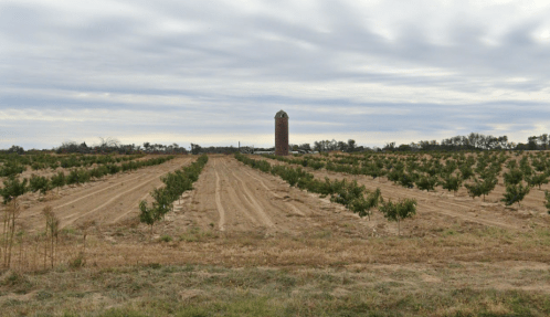 A rural landscape featuring rows of crops and a tall, cylindrical silo under a cloudy sky.
