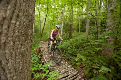 A person rides a mountain bike on a wooden trail through a lush green forest.