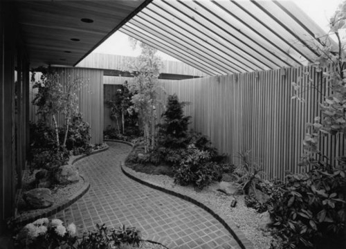 A serene indoor garden with a winding path, surrounded by plants and wooden slatted walls, under a glass roof.