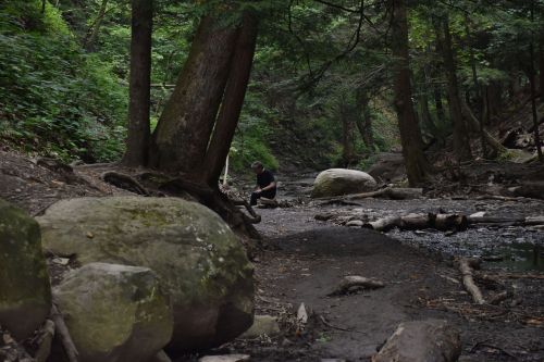 A person crouches by a rocky creek in a lush, green forest, surrounded by trees and large boulders.