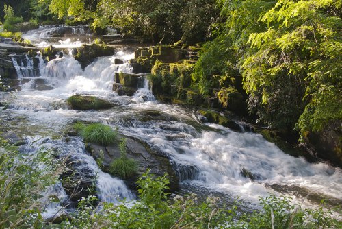 A serene waterfall cascades over moss-covered rocks, surrounded by lush greenery and flowing water.